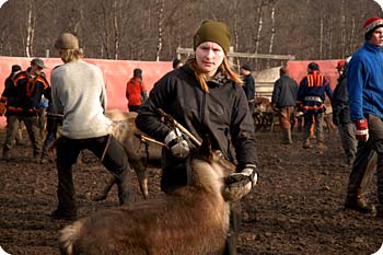 Ett hederligt arbete. Foto: Folkets Bio