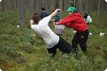 Blåbärskriget. Foto: Manana Film