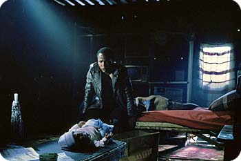 Tsotsi. Foto: Scanbox